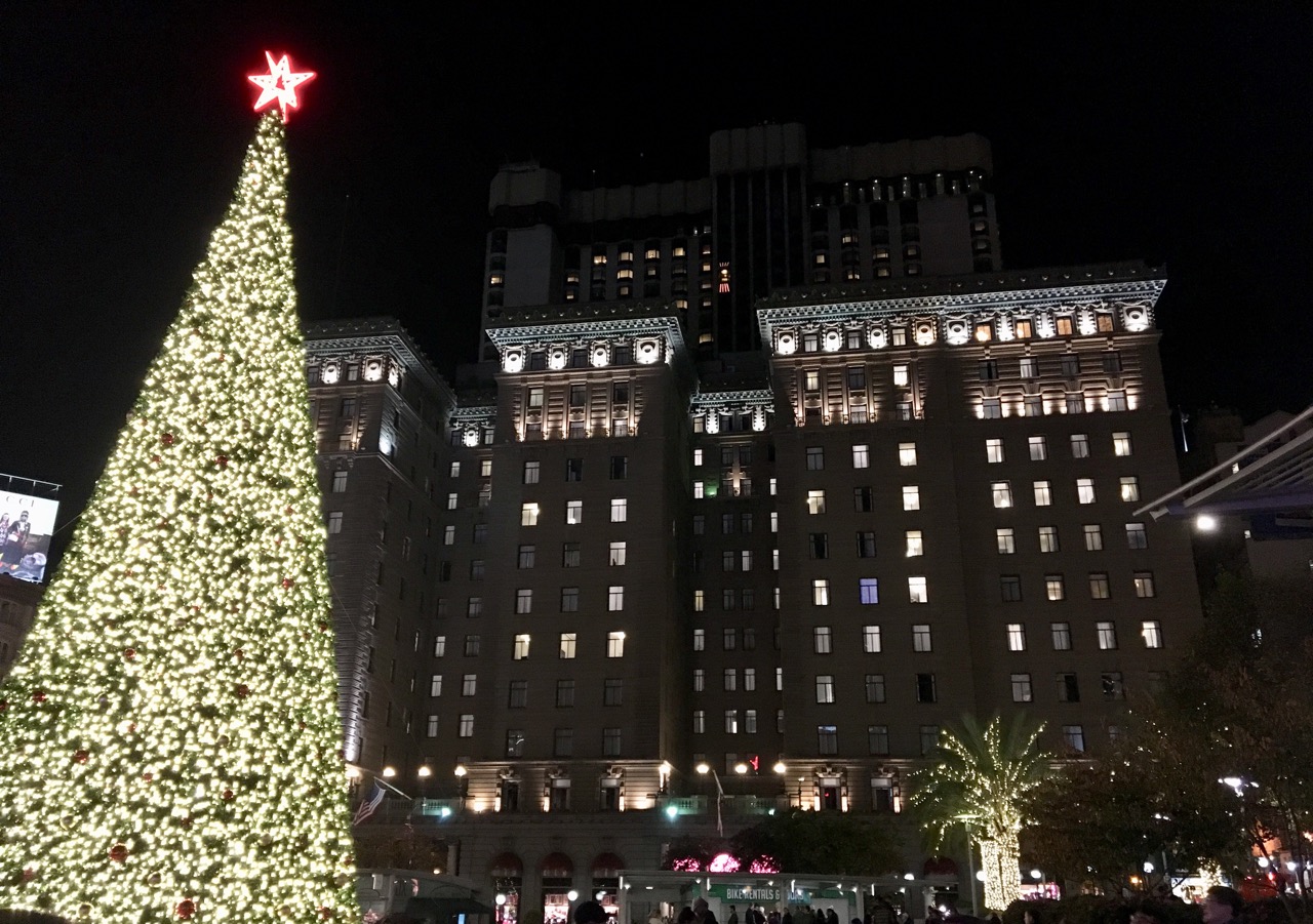 Where to View Holiday Lights in San Francisco Rikomatic